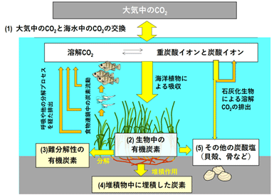 図表10