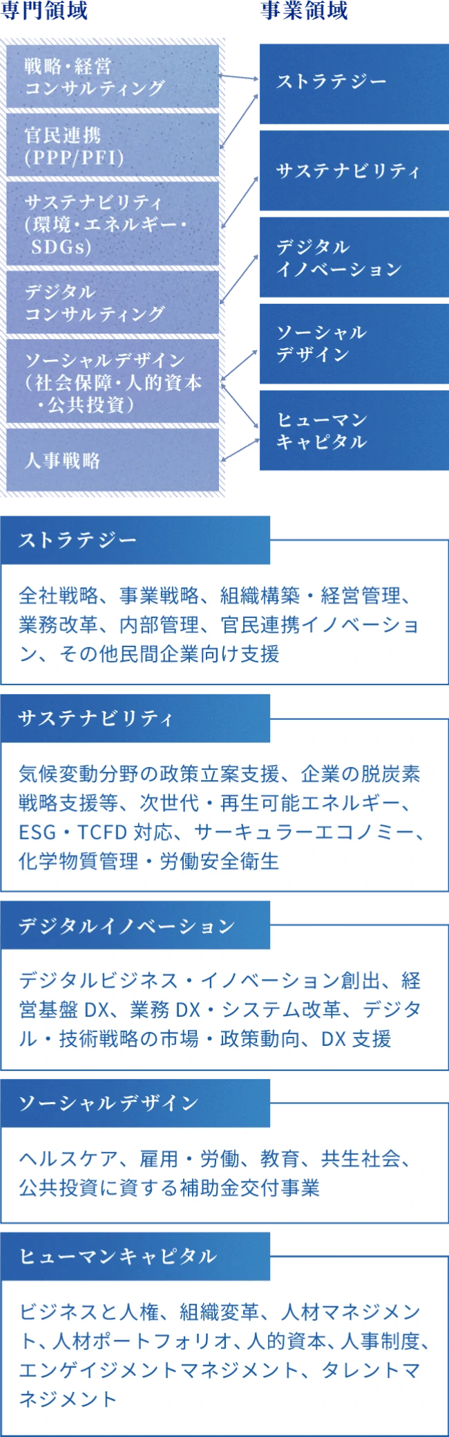 コンサルティング領域について説明している図