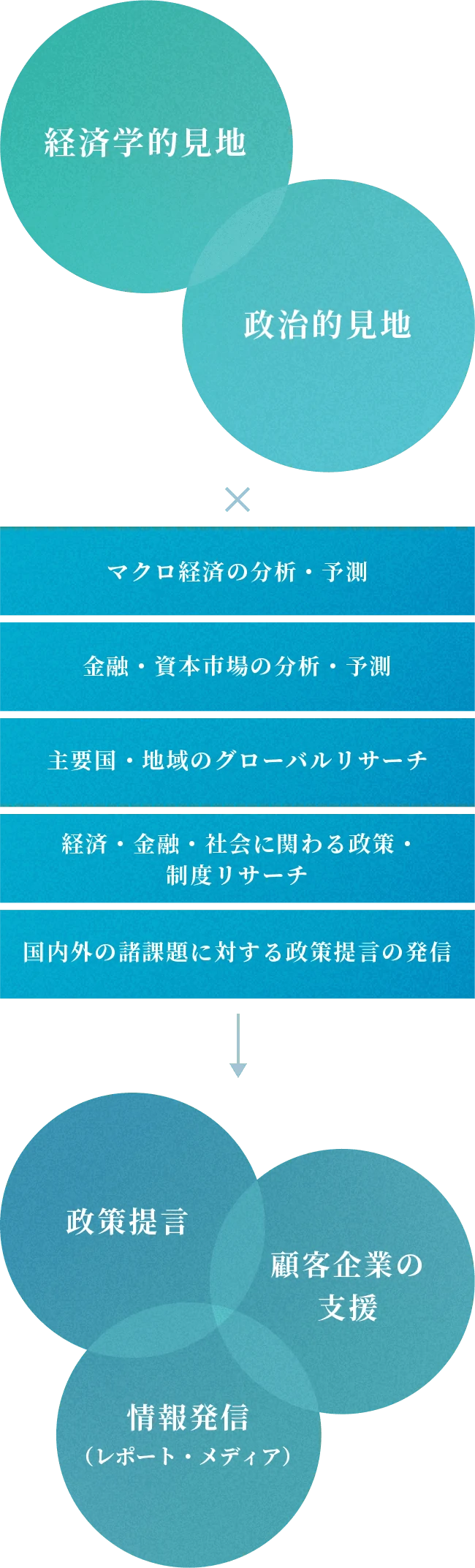 経済学的、政治的見地から情報を調査・分析し、政策提言や顧客企業の支援、情報発信（レポート・メディア）を行う図