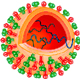 新型インフルエンザウイルスのワクチン開発のための量子化学計算